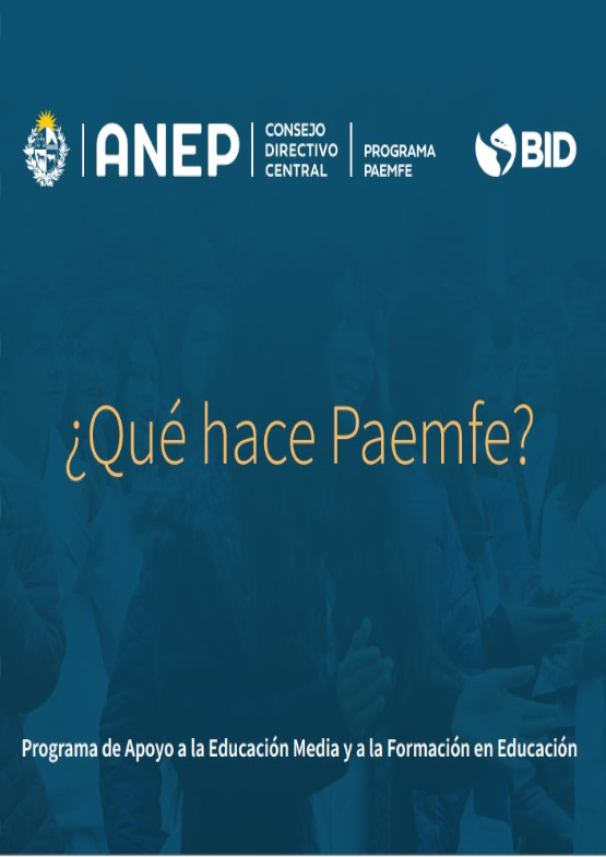 ¿Qué hace Paemfe?